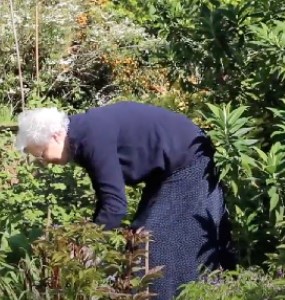 Gardening
